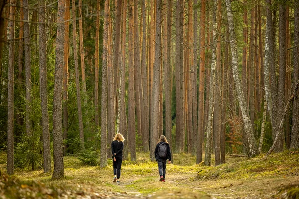 Vroeg Lente Een Rugzakwandeling Door Een Prachtig Groen Bos Polen — Stockfoto