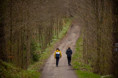 Ormanda ilkbahar yürüyüşü ağaçların arasında ve beyaz orman çiçekleri - Ilık ve Masuria, Olsztyn, Polonya