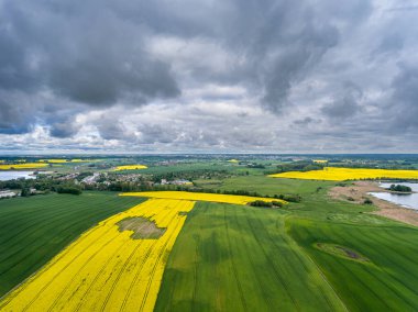 Tarıma elverişli tarlalar, tecavüz ve tahıl - Klewki Olsztyn yakınlarında. Klebarskie Gölü ve Linowskie Gölü - Warmia ve Masuria, Polonya, Avrupa