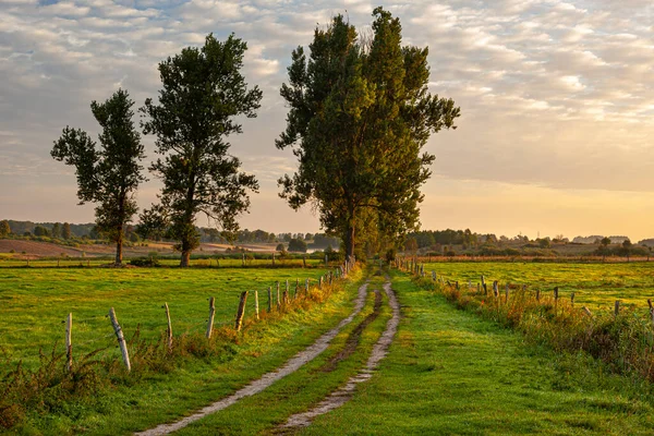 Warmia 'daki Gamerki Wielkie köyü ve Polonya' daki Mazury köyü yakınlarında gün doğumunda çayırlarla çayırlar arasında bir yol.