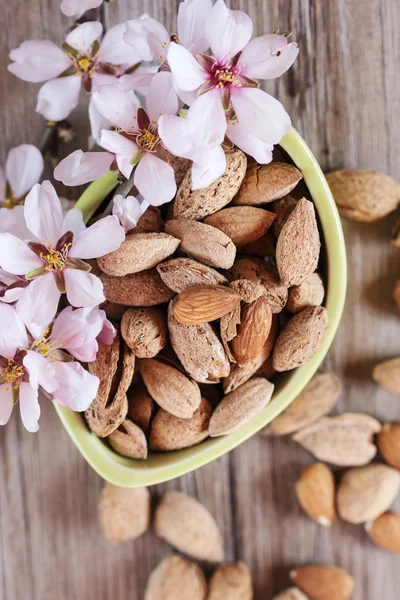 Almendras y árbol de flores macro, primer plano Imágenes de stock libres de derechos