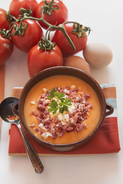 Soupe de salmorejo de tomates dans un bol, nourriture espagnole — Photo