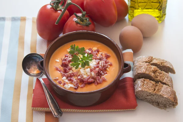 Rajčatová polévka salmorejo v misce, španělské jídlo Royalty Free Stock Fotografie