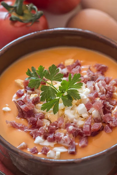 Soupe de gaspacho de tomates dans un bol, détail, nourriture espagnole — Photo