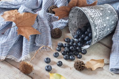 Rustik bir tencerede yaban mersini