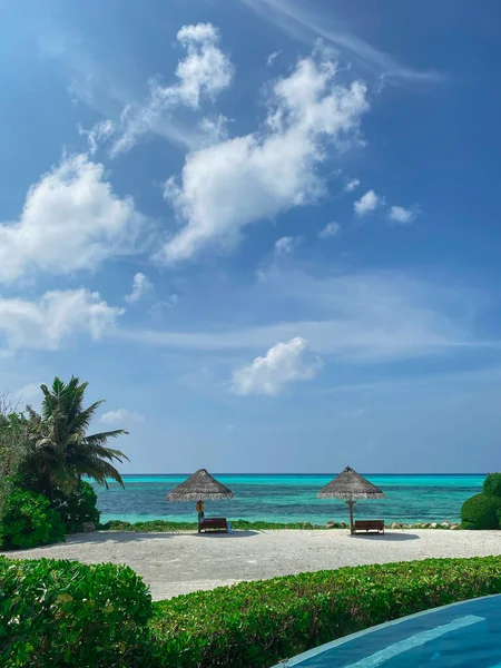 Holidays in the Maldives. A relaxation area with umbrellas and sun loungers. A view of the pool and ocean. Vertical image.