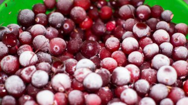 Kırmızı donmuş böğürtlen, buzla kaplı.