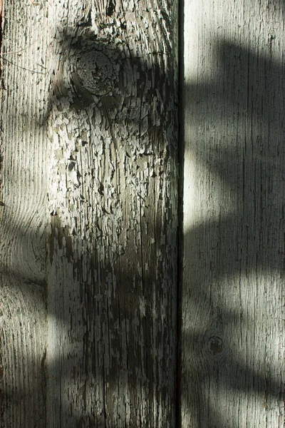 Close-up view of a plywood surface with black shadow from the trees. black leaf shadow on a brown plywood surface. Abstract background, plywood texture.