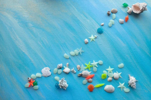 Zeehonden Zomer Achtergrond Veel Verschillende Schelpen Zeesterren Een Achtergrond Van — Stockfoto