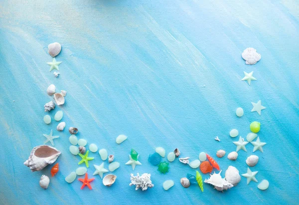 Seashells Summer Background Many Different Seashells Starfish Background Turquoise Shimmering — Stock Photo, Image