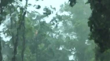 Yağmurlu bir günde, arabayı durdurup yağmur yağarken, üzgün ve yalnız hissederken arabanın ön camına video çekildi. Üzüntü yalnız yalnızlık Yağmur konseptinde yalnızlık. 