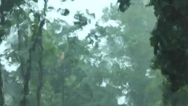 Yağmurlu Bir Günde Arabayı Durdurup Yağmur Yağarken Üzgün Yalnız Hissederken — Stok video