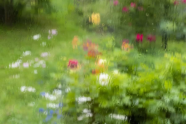 Blutige Kulisse Sonniger Sommergarten Weichen Fokus Auf Grün Verschwommenen Hintergrund — Stockfoto