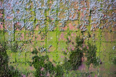 RUSSIA, duvar paneli, küçük mozaik fayanslarla kaplı. Paneller arası dikişler mühürlenmiş. Bir evin ön cephesinde eski püskü mozaik fayanslar.