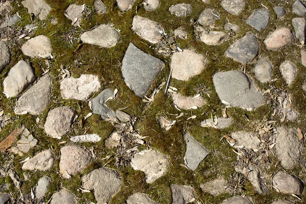 Маленькие Камни Песок Естественная Текстура Почвы Берег Водохранилища Пляжем Галькой — стоковое фото