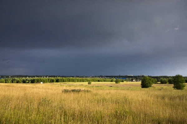Landschap Met Dramatische Lucht Onrijp Tarweveld Regenachtig Zomerseizoen Vuile Weg — Stockfoto