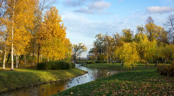 Golden Autumn Swamp Dawn Swamp Leningrad Region Autumn Karelian Isthmus — Stock Photo, Image