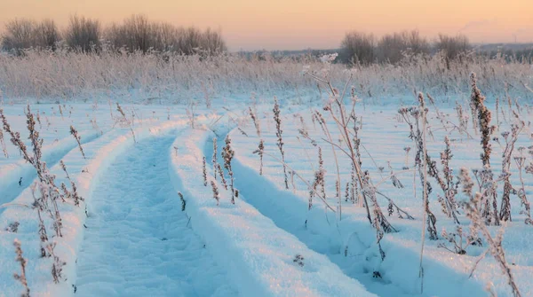Зимовий Пейзаж Шиномонтажні Колії Снігу Снігова Дорога Високоякісна Фотографія — стокове фото