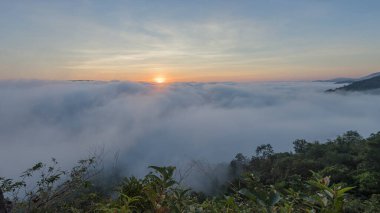  Sabahları sisli manzara, sis ve bulut vadisi manzarası, göldeki ormanda sabah sisi..