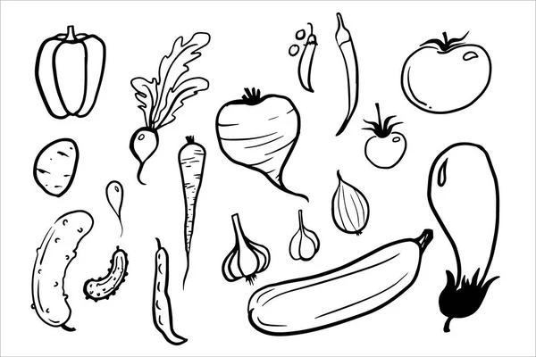 Vegetable Hand Zeichnung Skizzenvektorset Gurken Karotten Zucchini Rettich Kartoffeln Erbsen — Stockvektor