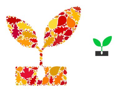 Bitki Filizi Sonbahar Mozaik Simgesi Sonbahar Yaprakları