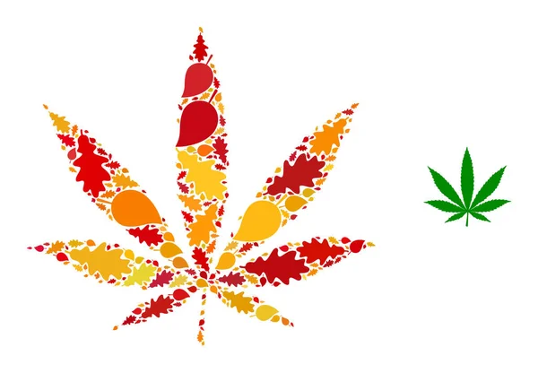 Cannabis Φθινοπωρινή σύνθεση Εικονίδιο με φύλλα πτώσης — Διανυσματικό Αρχείο