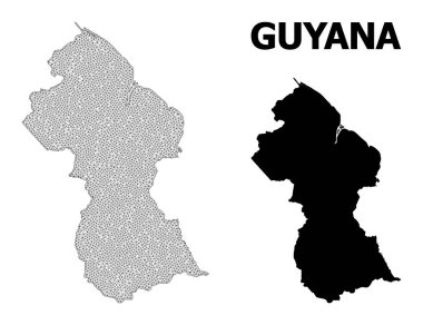 Guyana Soyutlamalarının Çokgen 2B Yüksek Çözünürlüklü Vektör Haritası