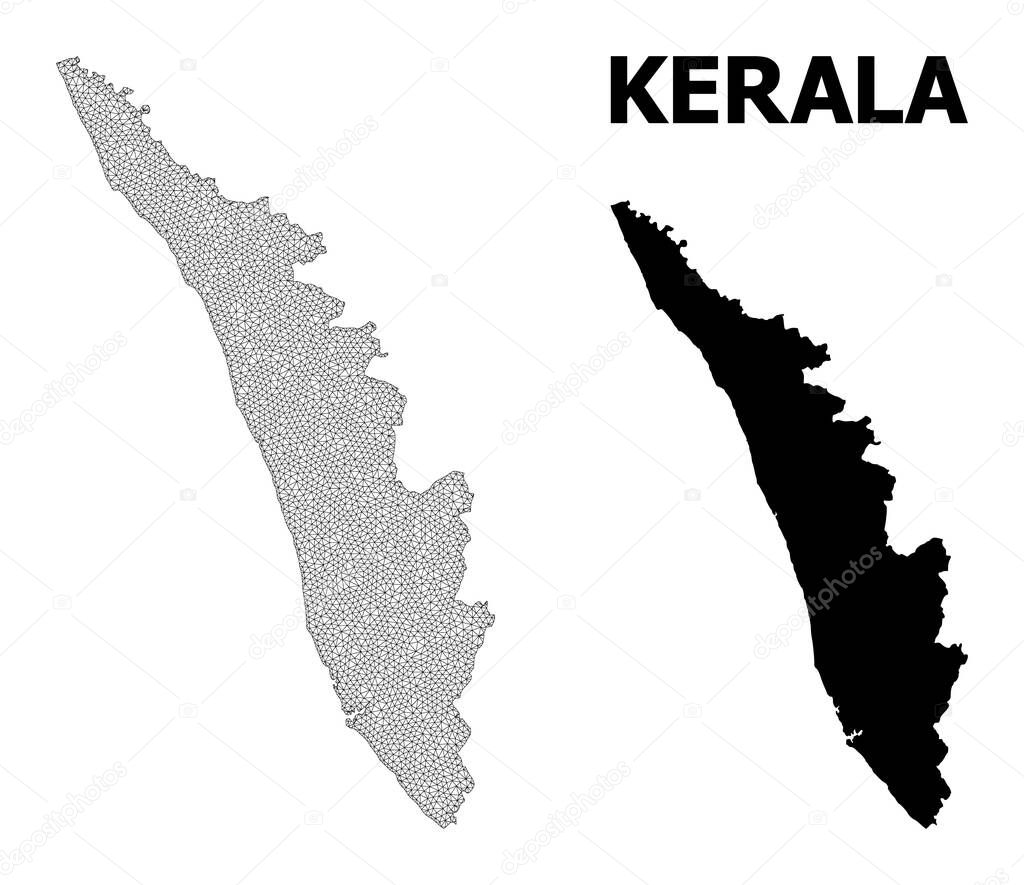 Polygonal Wire Frame Mesh High Resolution Vector Map of Kerala State Abstractions