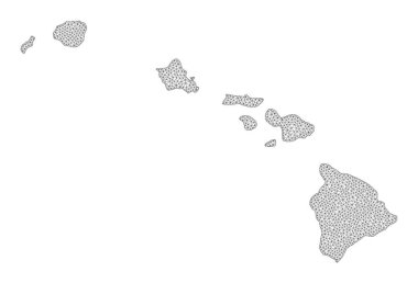Hawaii Eyaleti Soyutlamalarının Çokgen Ağ Yüksek Detay Raster Haritası