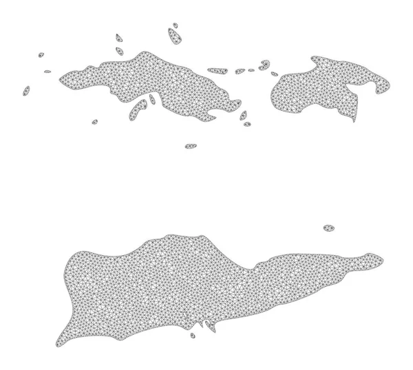 Maglia di carcassa poligonale Mappa dettagliata di astrazioni delle Isole Vergini americane — Foto Stock