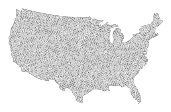 Maille de carcasse polygonale Carte matricielle haute précision des abstractions des États-Unis — Photo