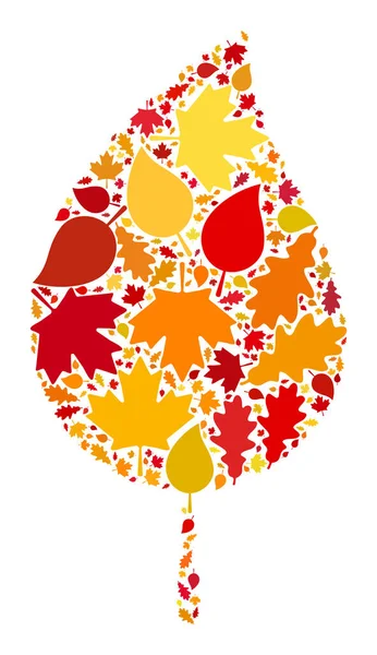 Floral Leaf Autumn Mosaic Icon with Fall Leaves — Stock Photo, Image