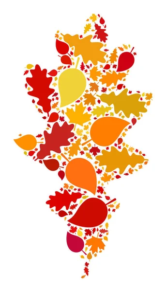 Oak Leaf Autumn Composition Icon with Fall Leaves — Stock Photo, Image