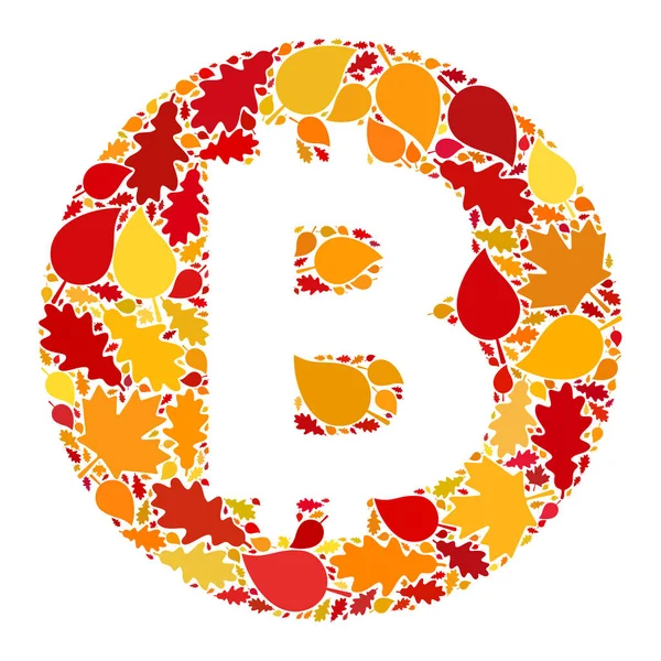 Bitcoin Sonbahar Kompozisyon Simgesi Sonbahar Yaprakları