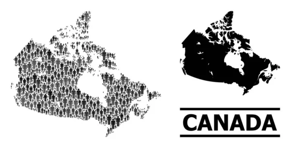 Vector Demográficos Mosaico Mapa do Canadá e Mapa Sólido — Vetor de Stock