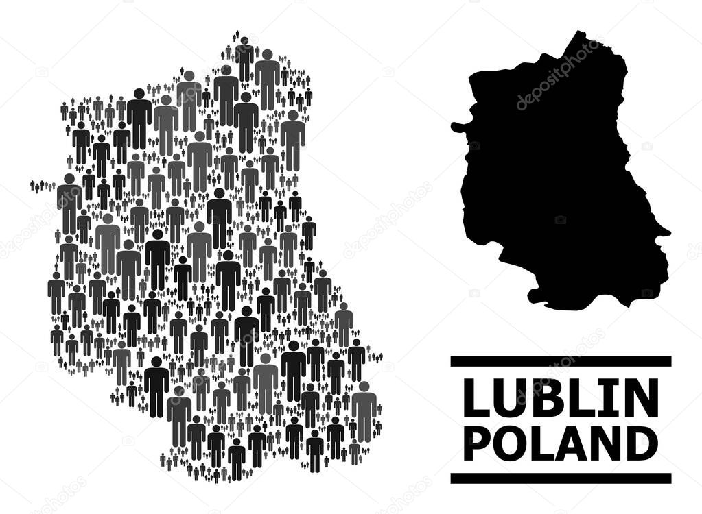 Vector Demographics Mosaic Map of Lublin Province and Solid Map