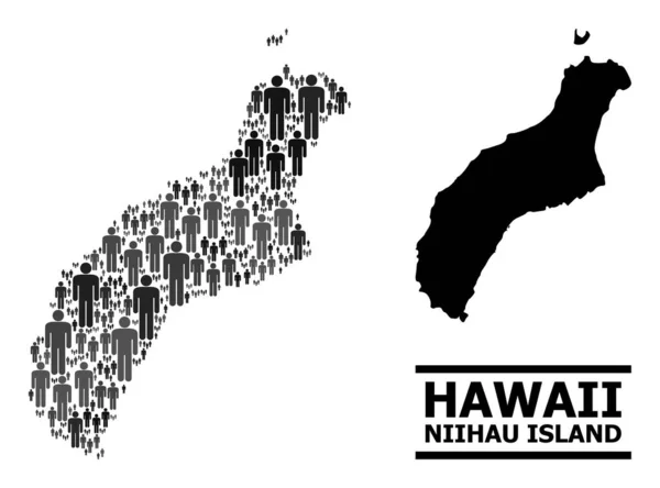 Vector Hombres Mosaico Mapa de la Isla de Niihau y Mapa Sólido — Vector de stock