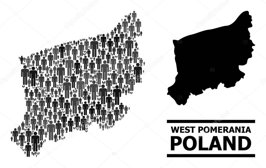 Vector Demographics Collage Map of West Pomerania Province and Solid Map