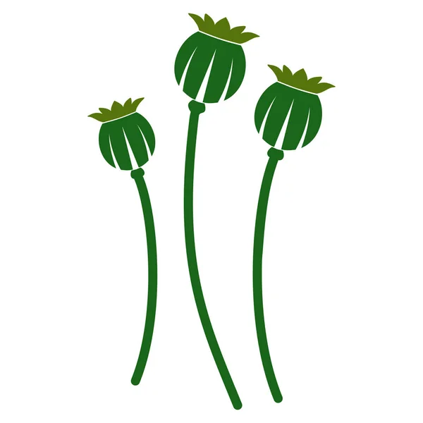 Poppy Plants Flat Icon Symbol