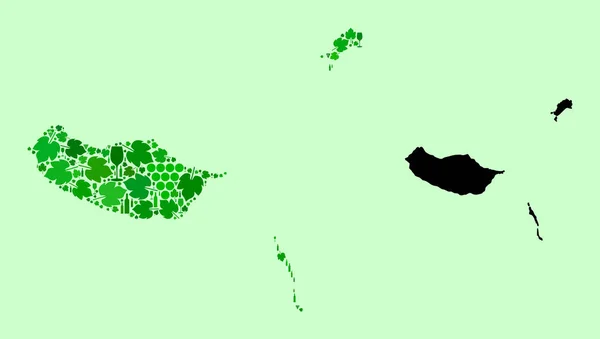 Mapa das Ilhas da Madeira - Colagem de Vinhos e Folhas de Uva — Vetor de Stock