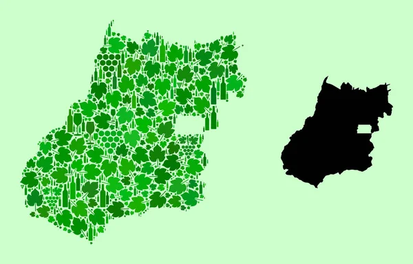 Mapa stanu Goias - Mozaika win i liści winogron — Wektor stockowy