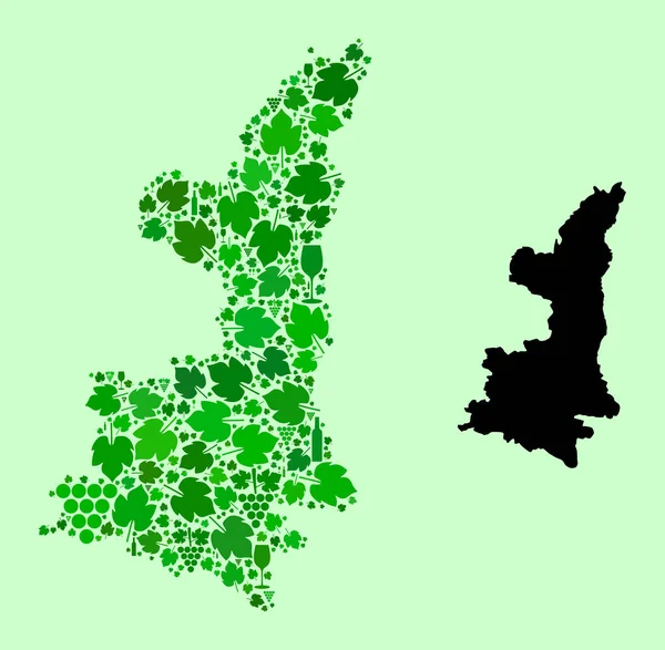 Kaart van de provincie Shaanxi - Mozaïek van wijn en druiven — Stockvector