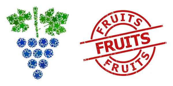 Üzüm YıIdızı Mozaiği ve Meyve Sıkıntısı Mührü