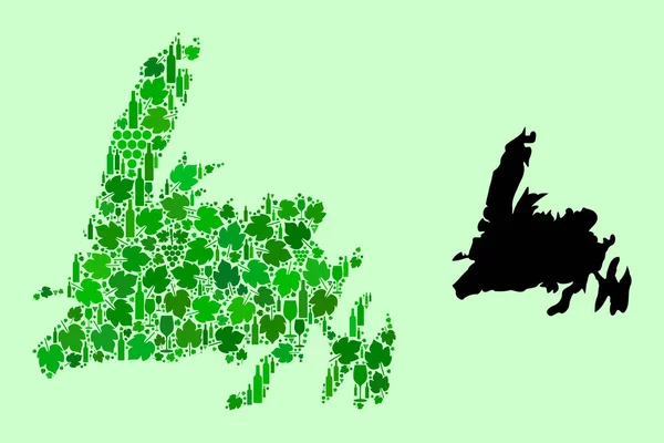 Карта острова Ньюфаундленд - Коллаж листьев вина и винограда — стоковый вектор