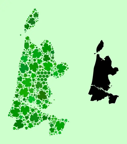 Kaart van Noord-Holland - Mozaïek van wijn en druiven — Stockvector