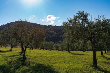 Molise, İtalya. Muhteşem sonbahar manzarası.