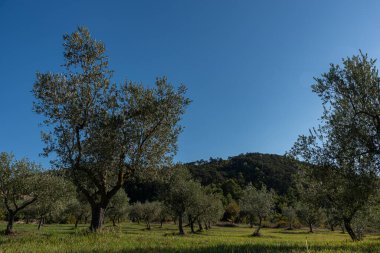 Molise, İtalya. Muhteşem sonbahar manzarası.