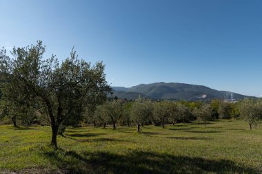 Molise, İtalya. Muhteşem sonbahar manzarası.