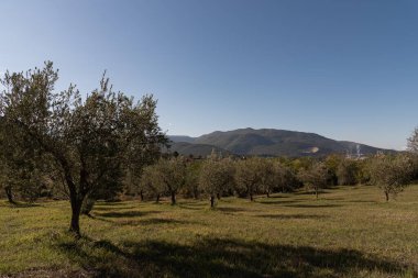 Molise, İtalya. Muhteşem sonbahar manzarası.