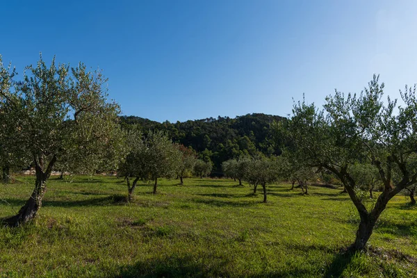 Molise Itálie Nádherné Podzimní Panorama — Stock fotografie